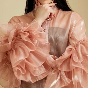 Kate Hewko Sheer Drama Sleeve Button Up